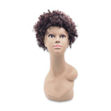 K9803# APRO SHORT HAIR WIG