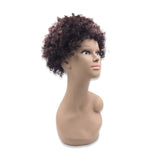 K9803# APRO SHORT HAIR WIG