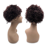 K9803# APRO SHORT HAIR WIG