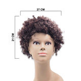 K9803# APRO SHORT HAIR WIG